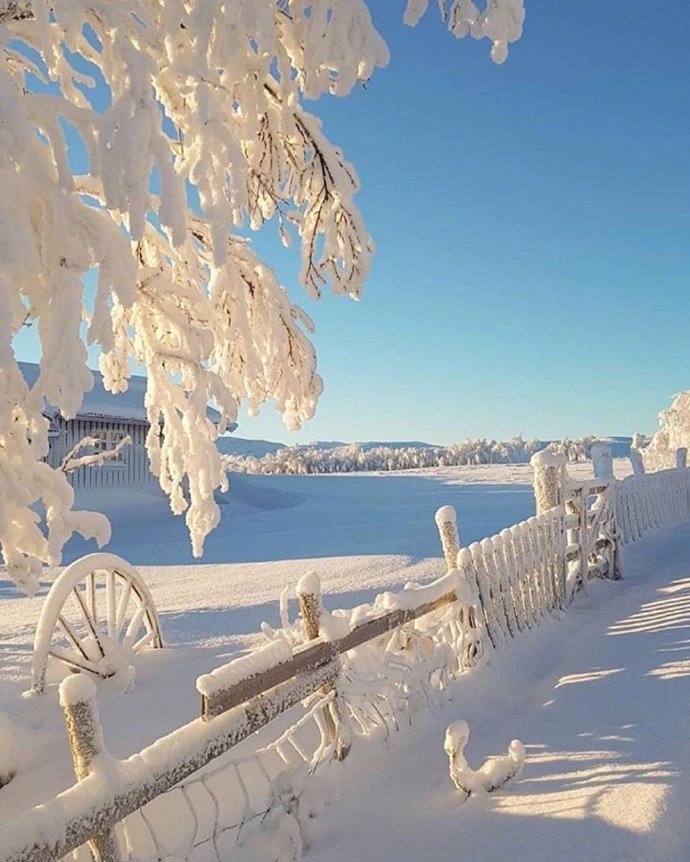 挪威的冬天美丽的雪景