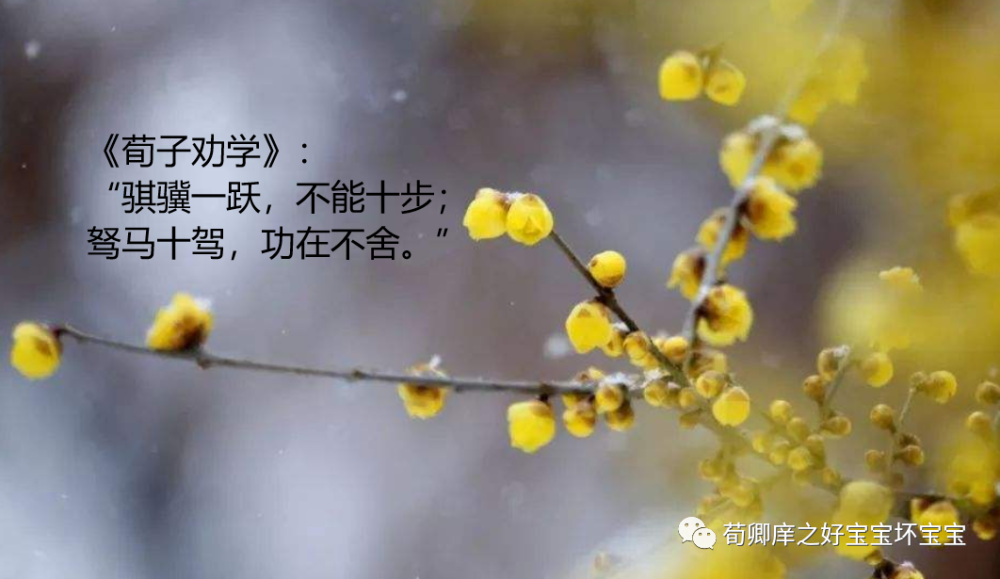 卿有什么成语_成语故事简笔画(3)