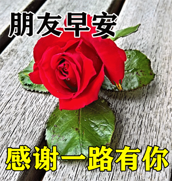 一定给你带来好运 今天是个送祝福的好日子 收到这个祝福的朋友 都是