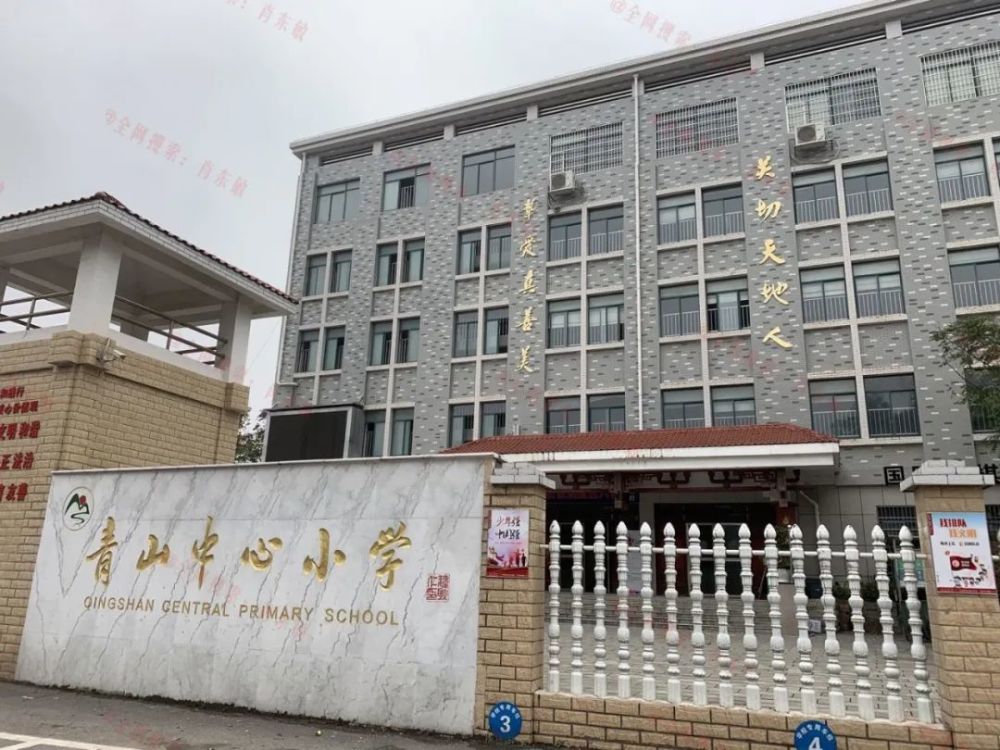 至于地块旁边的 青山中心小学,东敏君也去瞅了一眼,长这样