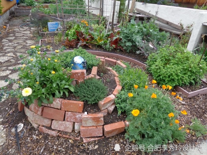 10㎡院子捯饬捯饬,拉来一车旧红砖砌个螺旋花坛,试试种菜种花