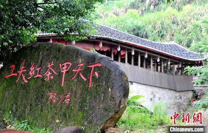 资料图:福安市社口镇坦洋村 张斌 摄