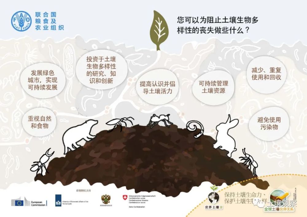 保持土壤生命力,保护土壤生物多样性|2020年世界土壤日