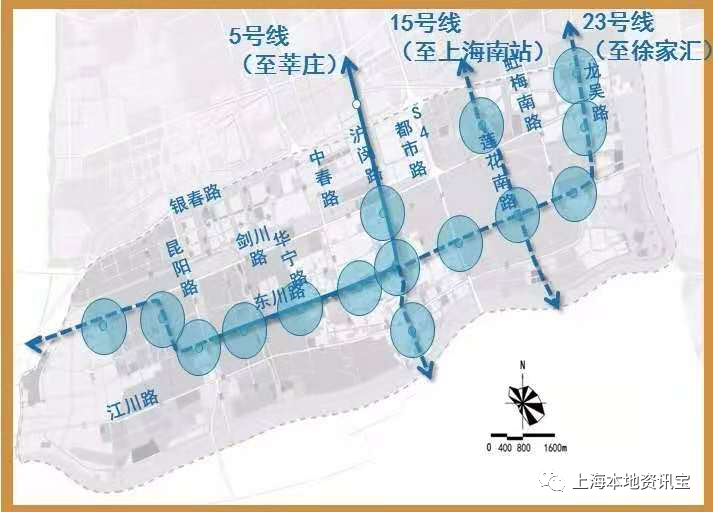 2021年上海人口_2021年人口年龄占比图