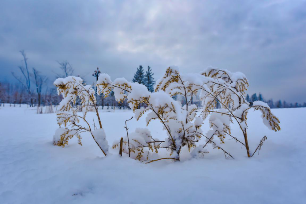 长白山新雪季:遥望一山雪,温暖一生情