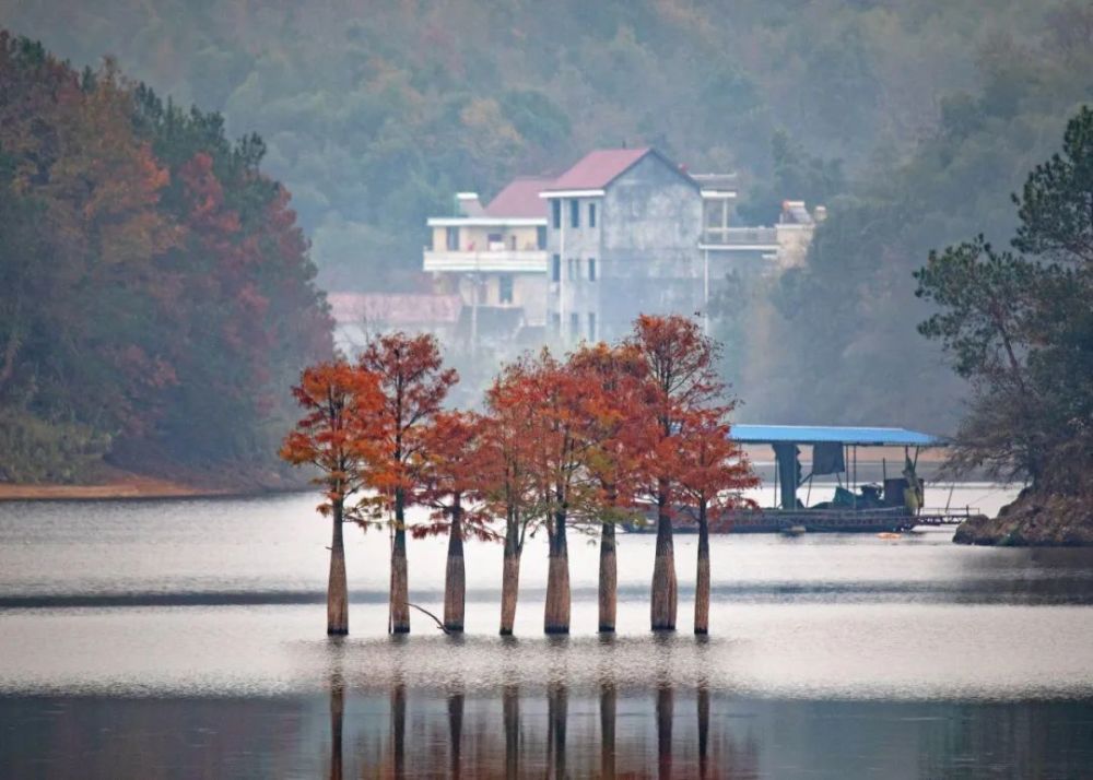 兰溪东风水库:览江南风情,赏冬日美景