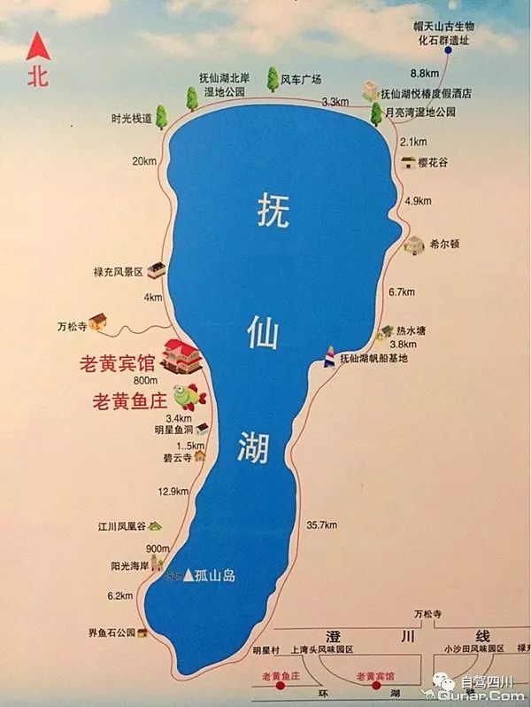 云南行:抚仙湖星云湖等你来喂鸥