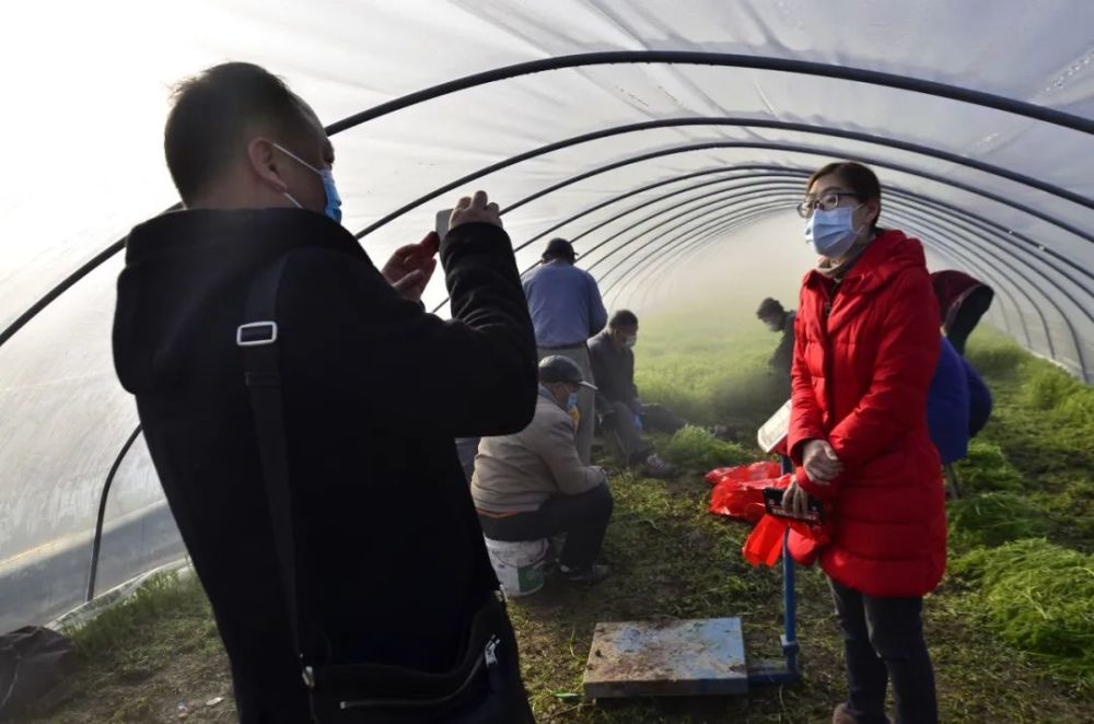 我是小康发言人第一书记许筱玮外沙村的网红主播