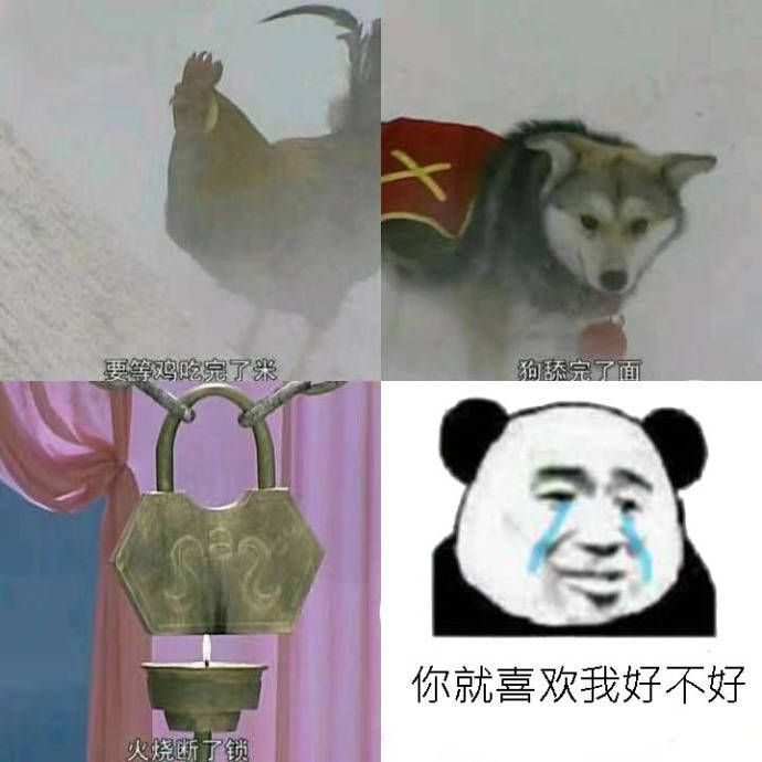 沙雕表情包:这条命苦过苦瓜