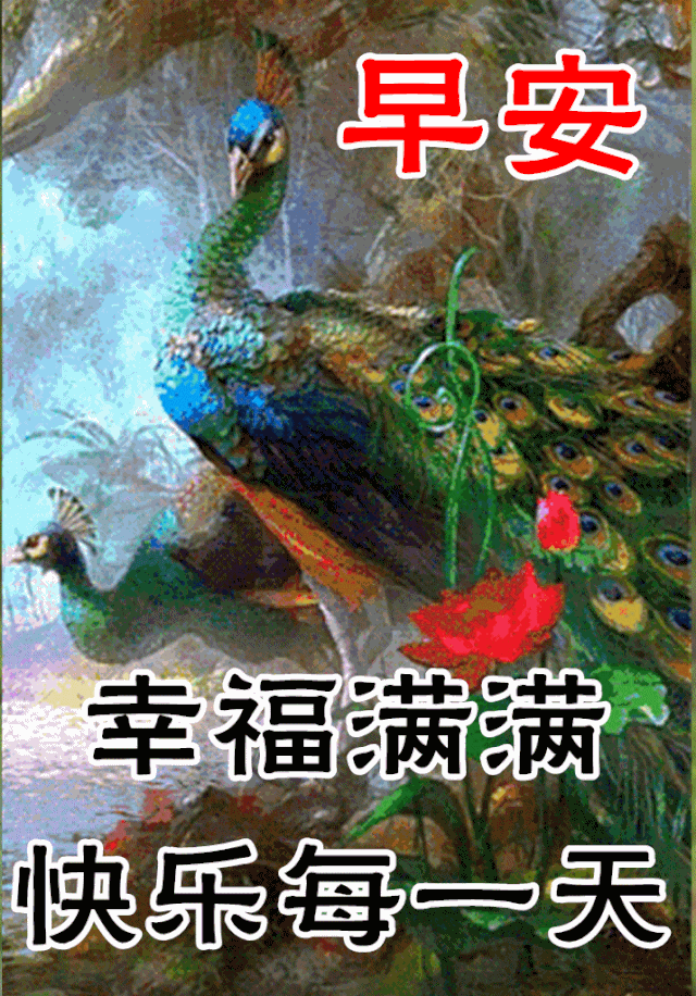 12月3日最漂亮早上好动态表情图片大全,早晨好动图美图大全