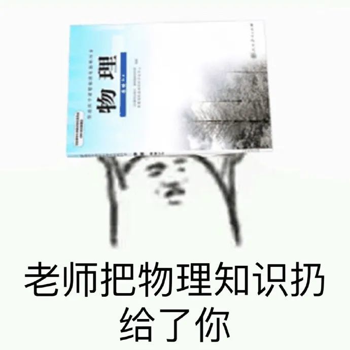 表情包:老师把语文知识扔给了你!