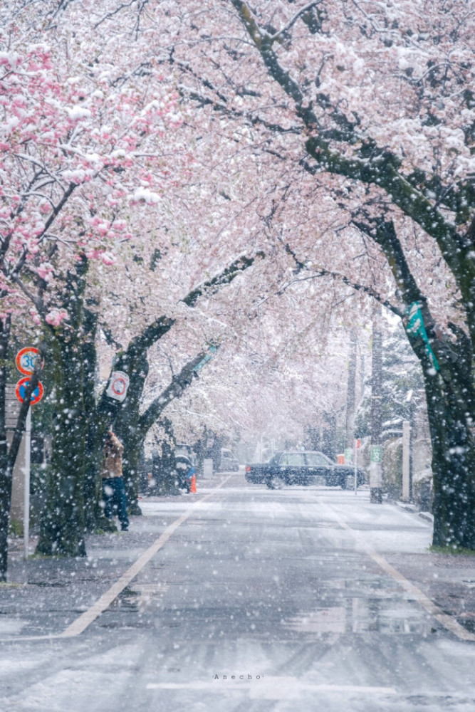 壁纸 你的城市下雪了吗?