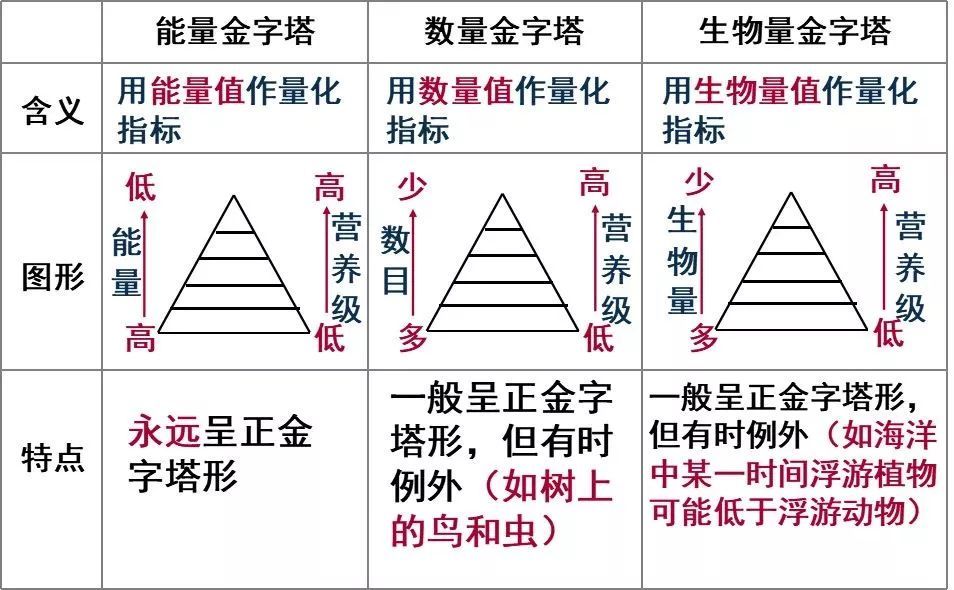 生态金字塔类型及其特点(3) 若为食物网,最高营养级最多增重除按1