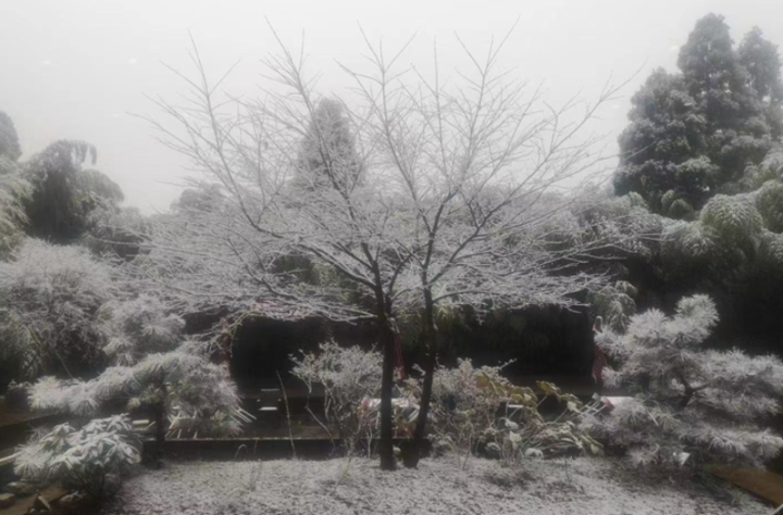 快来围观!浙江这些地方都下雪了,接下来更冷的日子来了