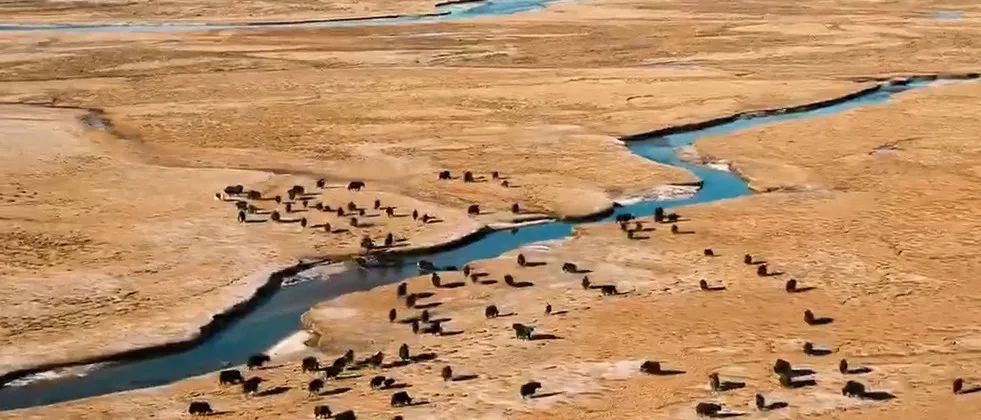 理塘丁真带动四川理塘gdp_理塘丁真