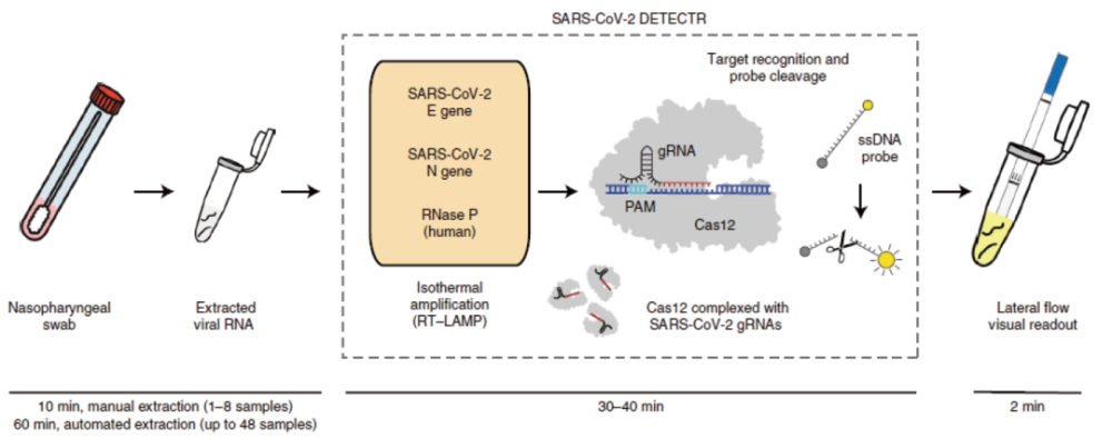 新冠居家检测试剂盒问世,核酸快检方法有哪些?