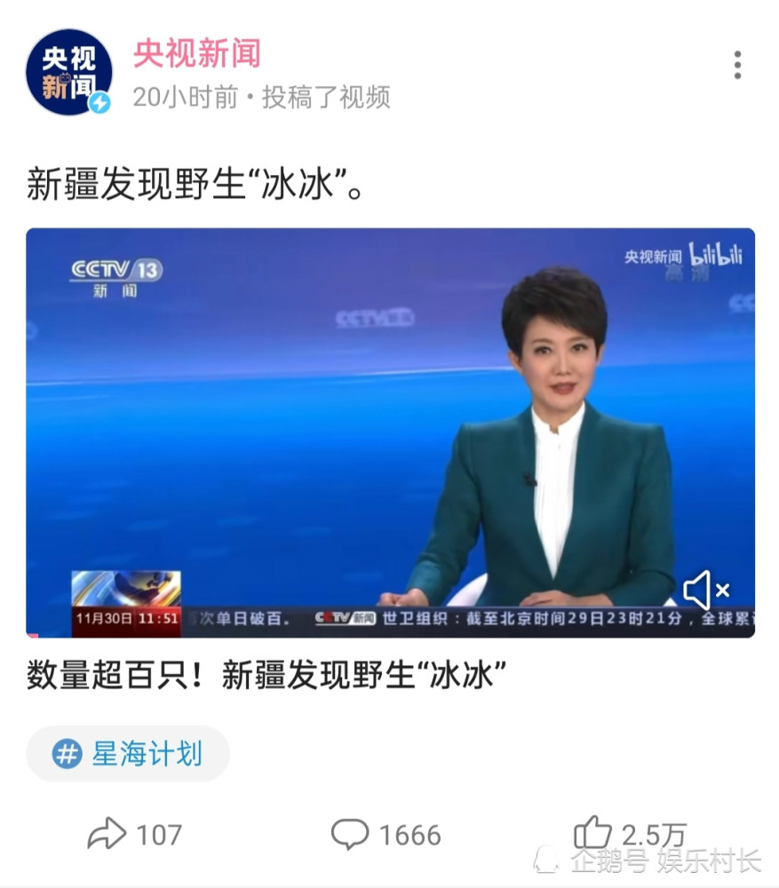 央视也蹭记者王冰冰热度发视频所配标题成全网热梗之后操作却引争议