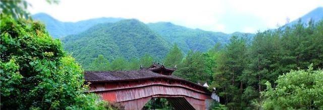 庆元县两个森林公园,国家4a级旅游景区,堪称"天然氧吧"