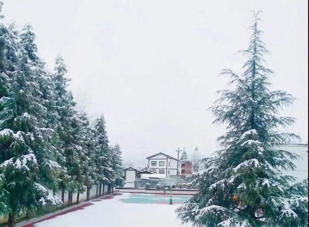 一觉醒来,遵义真的下雪了!各地的雪景都在这里!