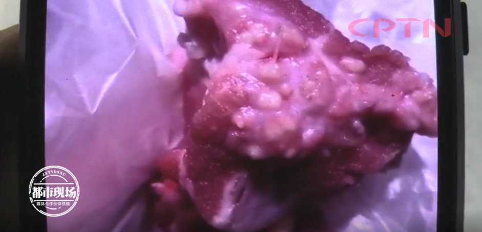 猪肉竟然长满了疙瘩脓包女子切开肉之后被吓到