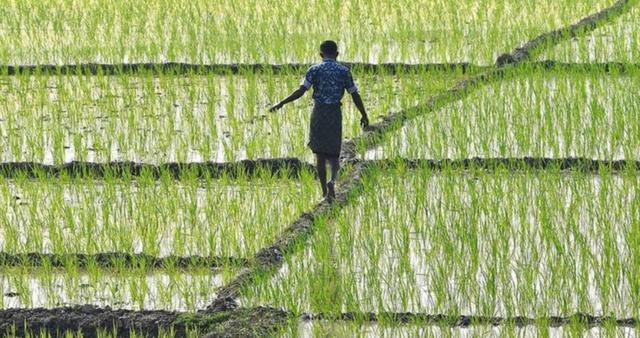 农民能产生gdp_农民简笔画(2)