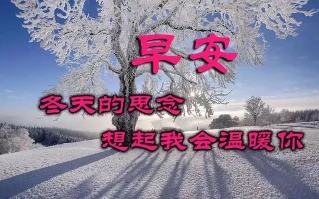 冬天很暖心的问候祝福语天气寒冷注意保暖哦