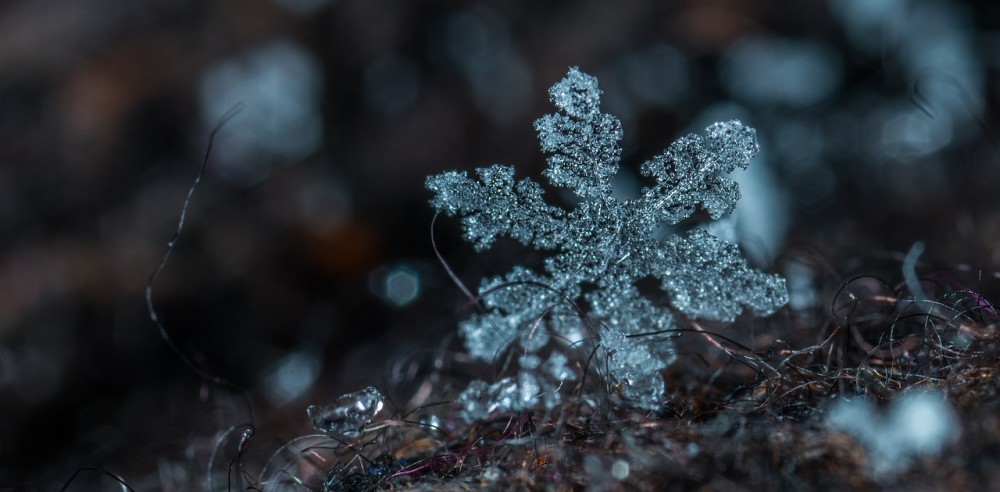 9句未提"雪"字却写雪的诗词,句句唯美动人