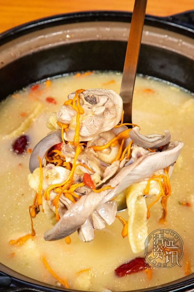 5折吃清远明星猪肚鸡!料足味美,要几正有几正.