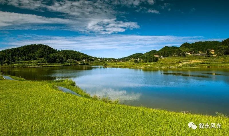 叙永县摩尼镇仙草湖(原卫星水库),随着近年来水库水质的不断改善和