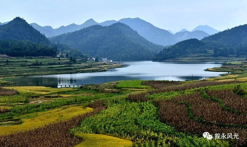 叙永县摩尼镇仙草湖(原卫星水库),随着近年来水库水质的不断改善和