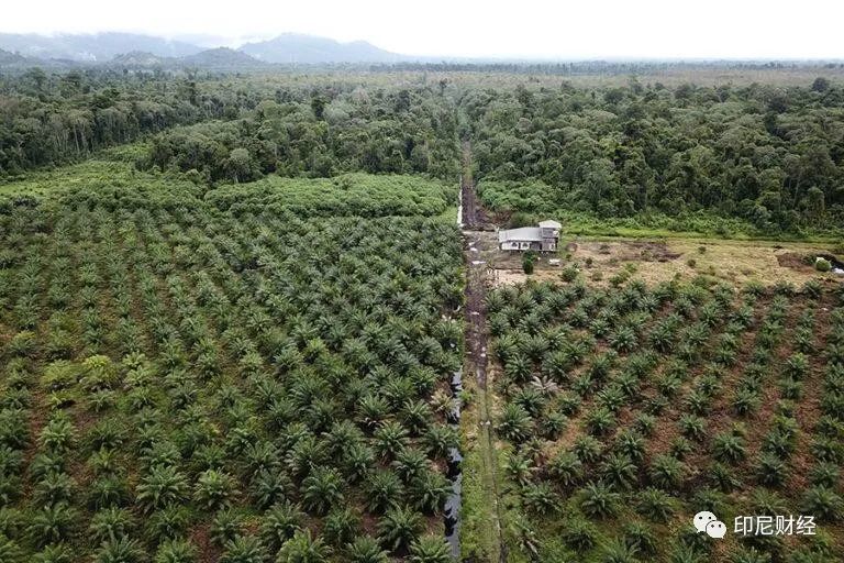 印尼2021年经济总量_印尼98年屠华(2)