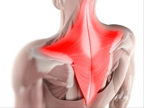 导致人们右侧肩胛骨疼痛的常见病因有哪些,如何应对?