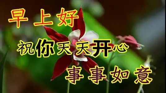 中老年表情包祝你天天开心心情漂亮如花