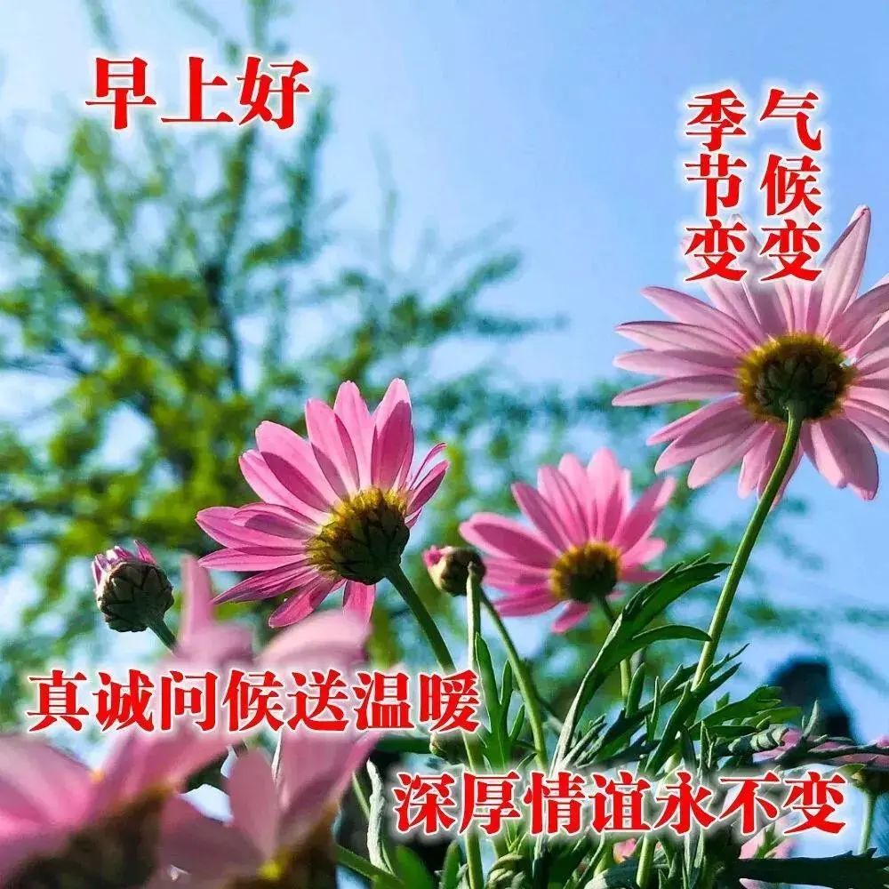 周末最暖心的早上好问候图片大全早安心语祝福图片分享