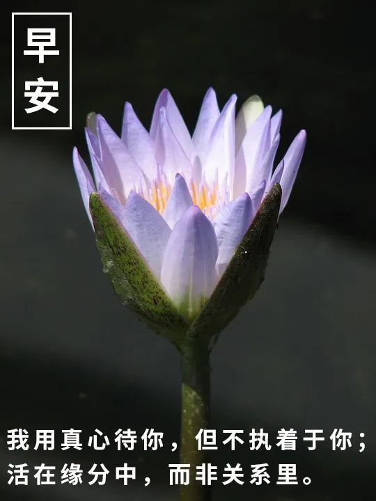 每日早安心语句子 早安心语一句话分享
