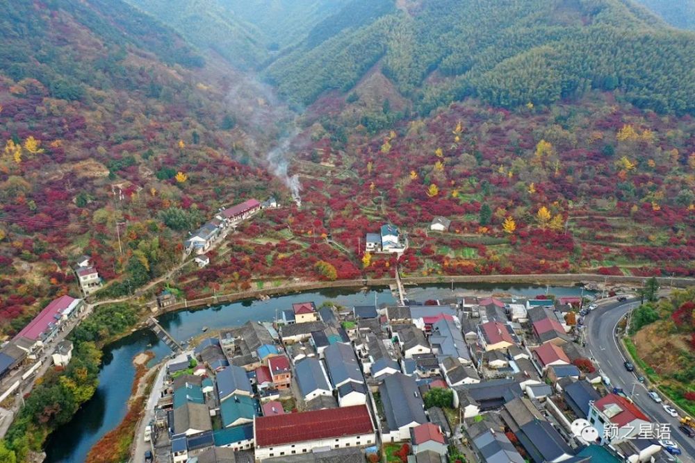 宁波的四明山心,红枫欣赏首选地,山环水绕每年红两次