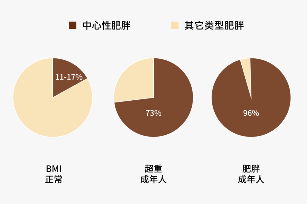 肥胖的成年人中,96%为中心性肥胖,超重的成年人中,73%为中心性肥胖