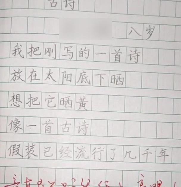 8岁小学生作诗《没收,字字珠玑,老师忍不住赞叹:这娃将来有出息