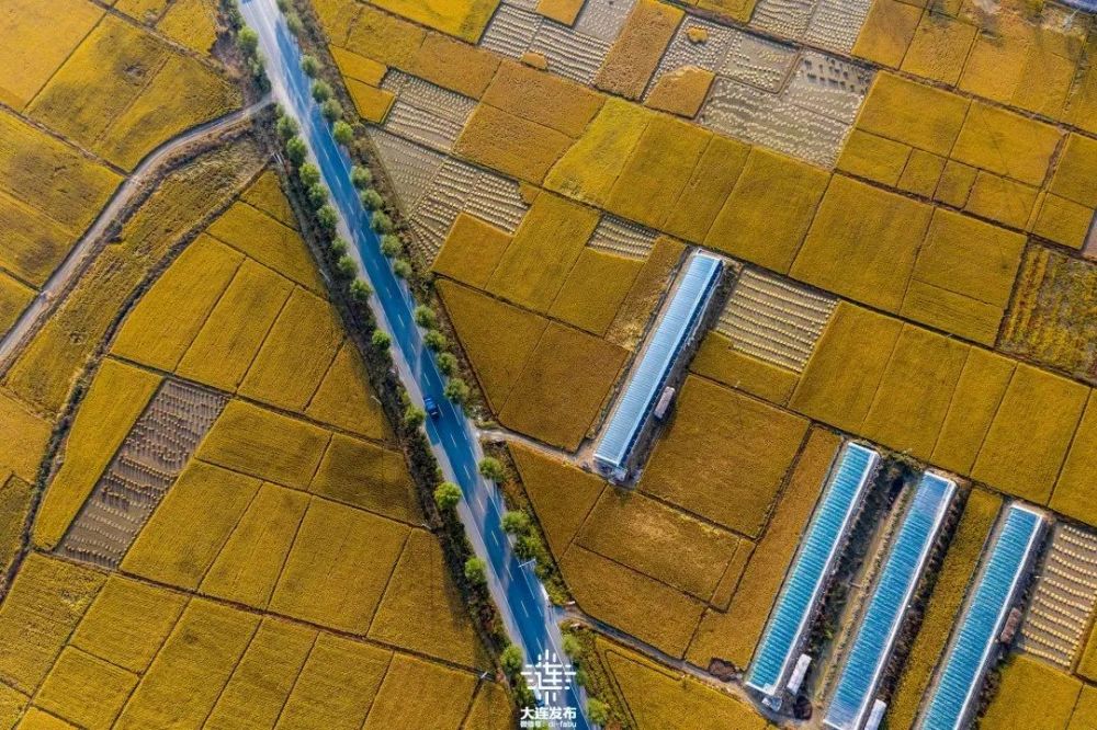 大连市瓦房店乡镇经济总量_经济发展图片(2)