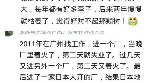 命硬简谱_解析一下这张乐谱的意思