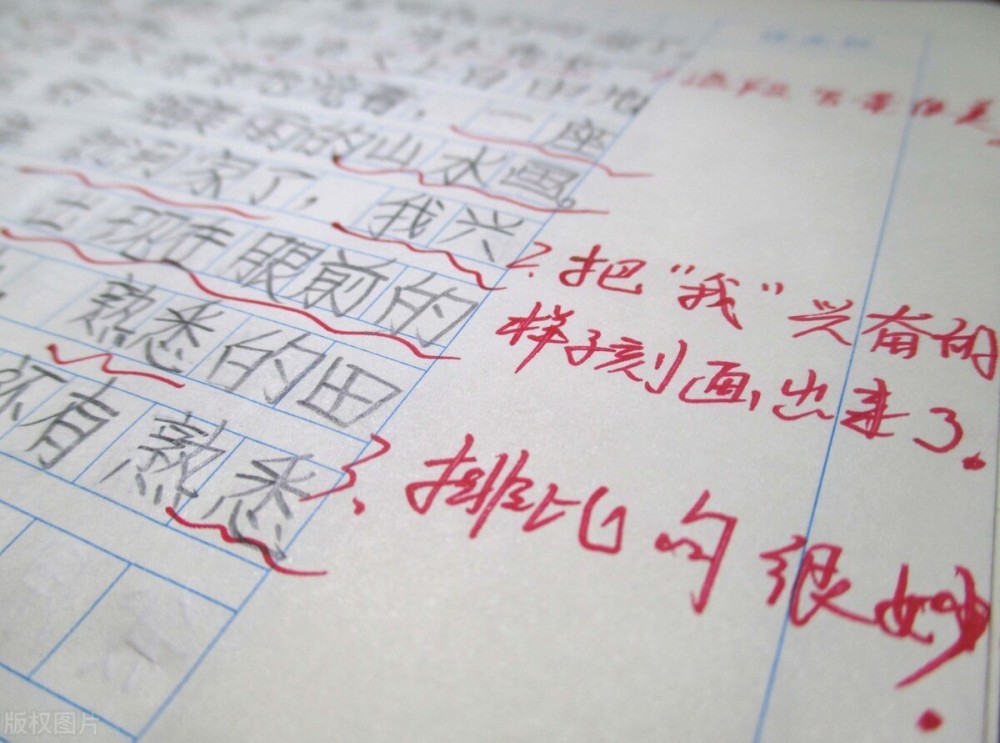 中国人口问题作文_中国人口问题(2)