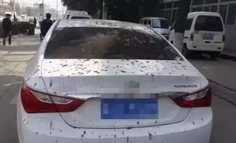 汽车油漆发黄现象解析与应对策略，汽车油漆发黄现象解析与应对策略