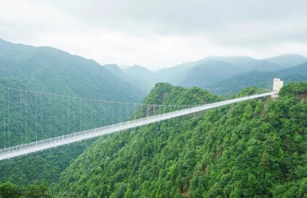 天然的大氧气,夏天的避暑胜地,也是三百山国家森林公园山军团,林大海