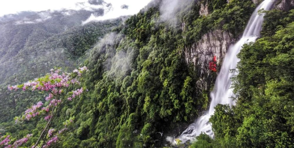 赣州市安远县三百山景区