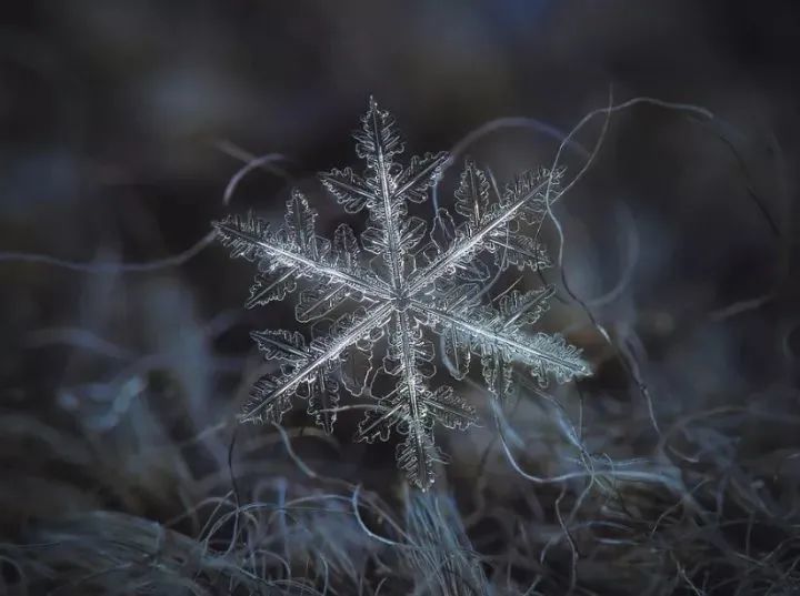 听说重庆有些地方都下雪了!但是雪花到底有多少种形状,你知道吗?