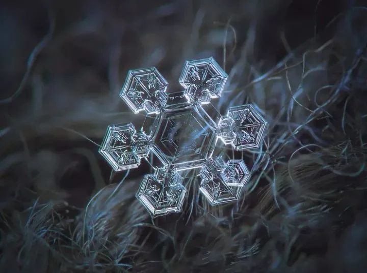 但是雪花到底有多少种形状,你知道吗?