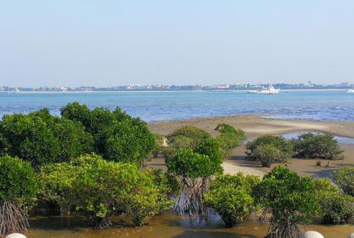 茂名gdp比中山高_中山至茂名大巴图片(3)