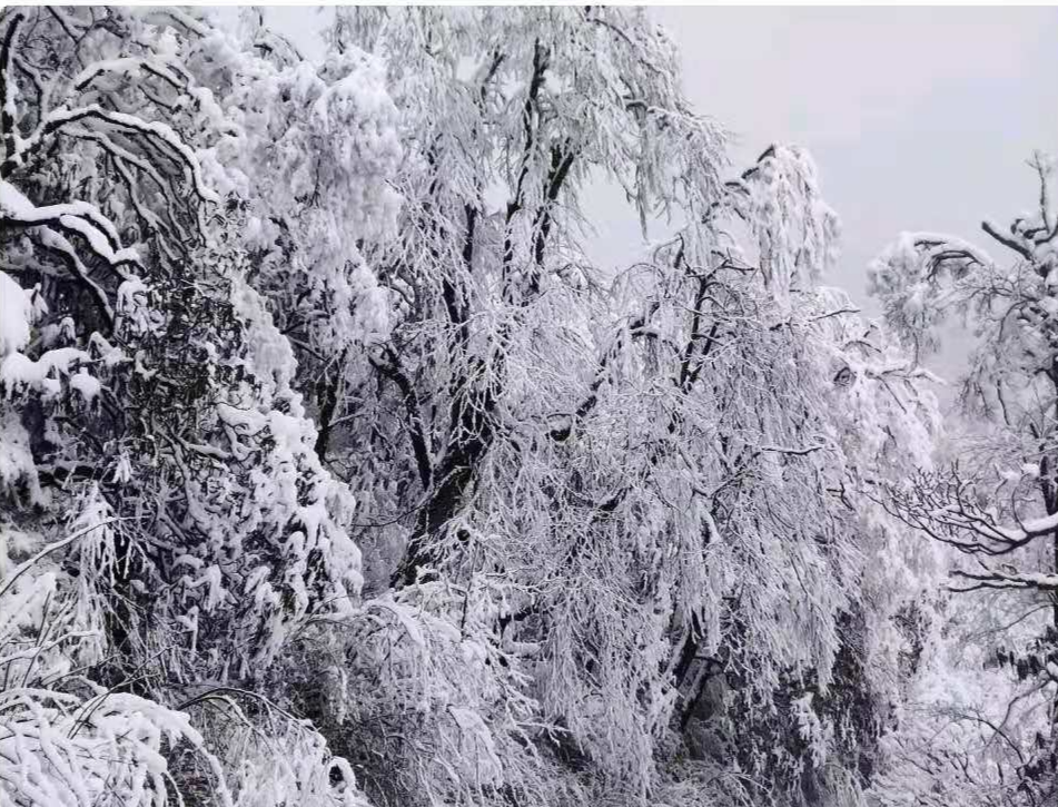 绵阳下雪了!看雪就去…_腾讯新闻