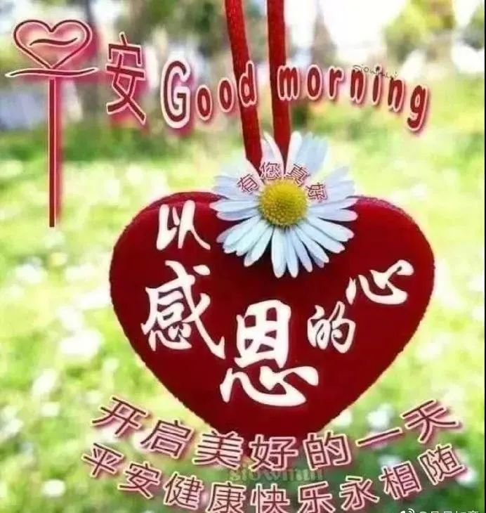 早上好动态祝福语大全,祝大家身体健康万事如意一切安好!