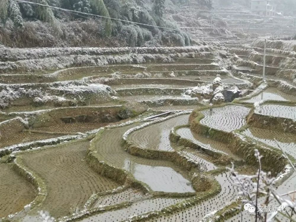 紫鹊界梯田荆竹村段下雪了,和冬天好配